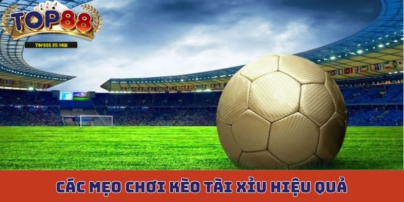 Các mẹo chơi kèo tài xỉu hiệu quả cho người dùng mới